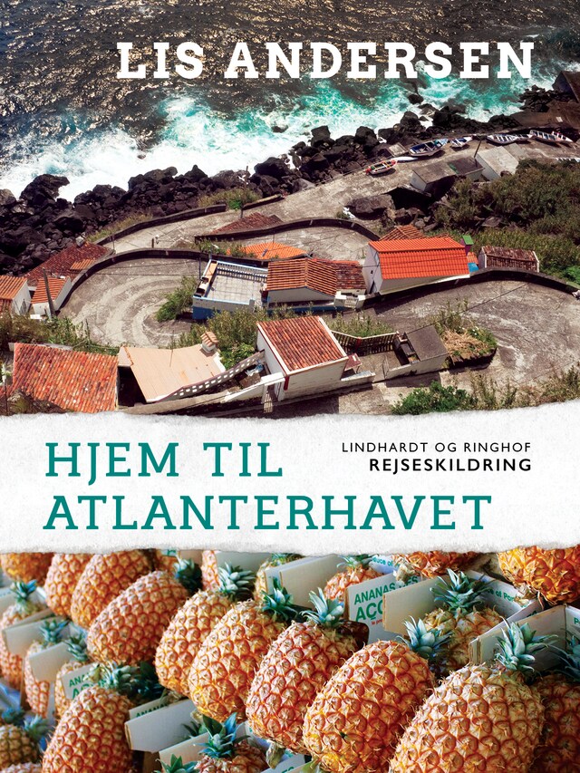 Bogomslag for Hjem til Atlanterhavet