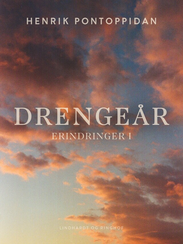 Portada de libro para Drengeår