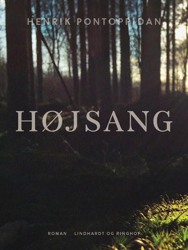 Buchcover für Højsang