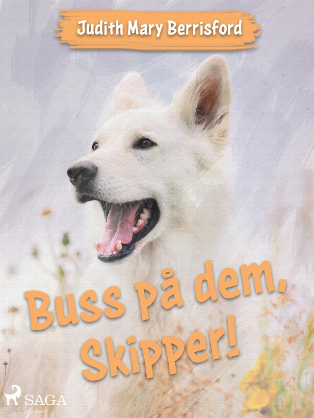 Boekomslag van Buss på dem, Skipper!