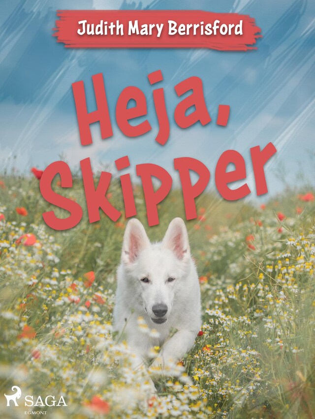 Book cover for Heja, Skipper
