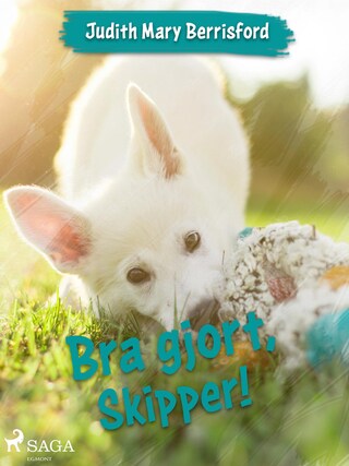 Bra gjort, Skipper! bookCoverFor