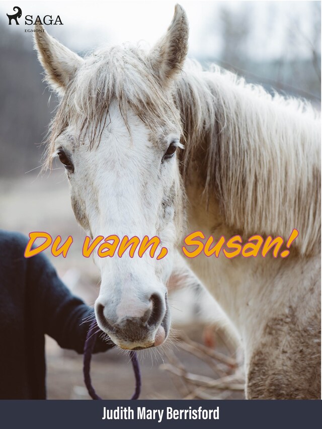 Book cover for Du vann, Susan!