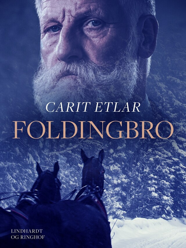 Book cover for Foldingbro
