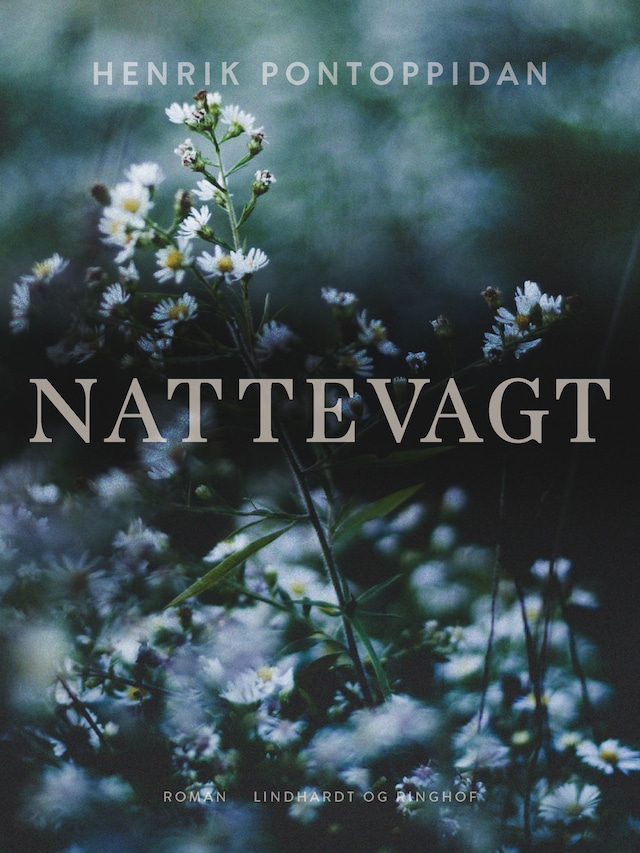 Bogomslag for Nattevagt