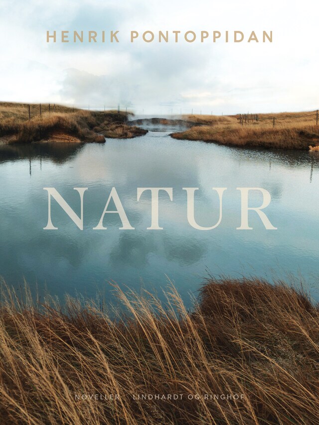 Book cover for Natur