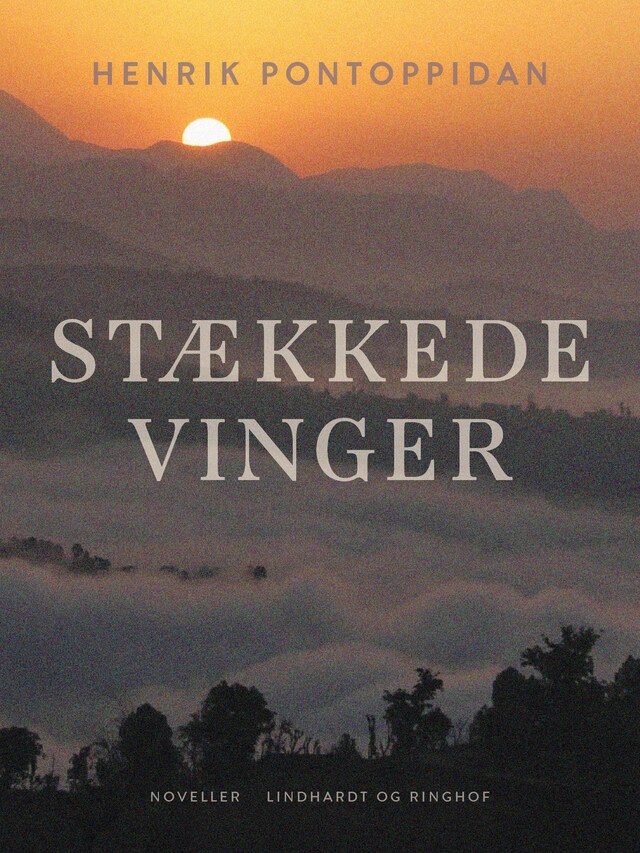 Copertina del libro per Stækkede vinger