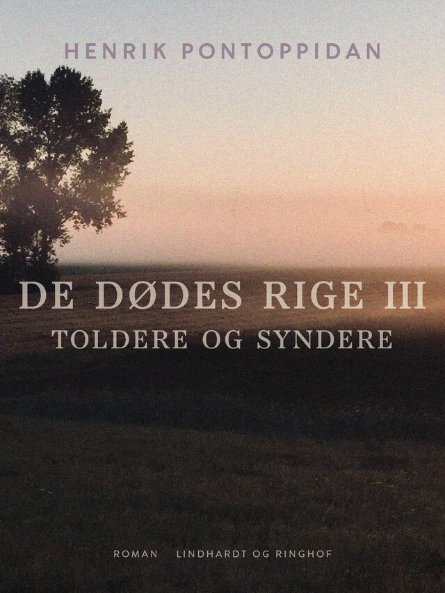 Book cover for Toldere og syndere