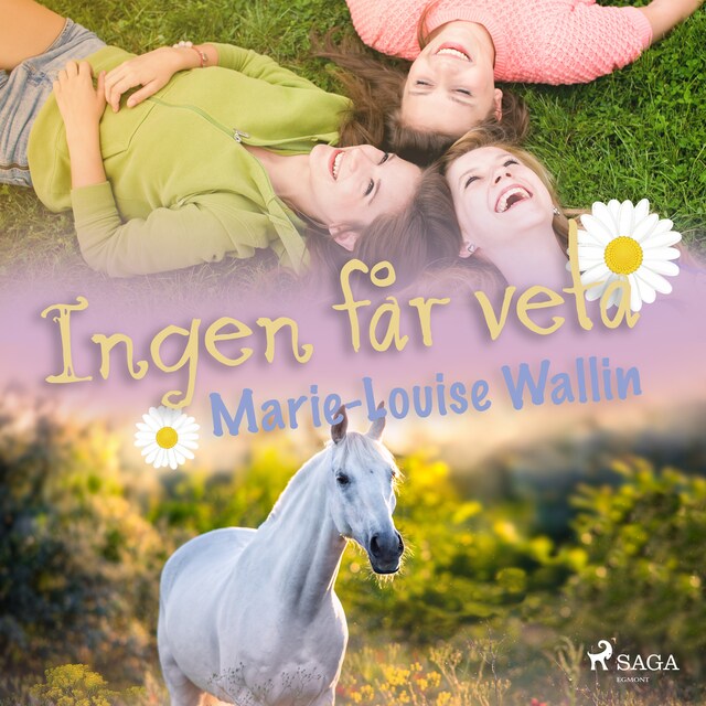 Book cover for Ingen får veta