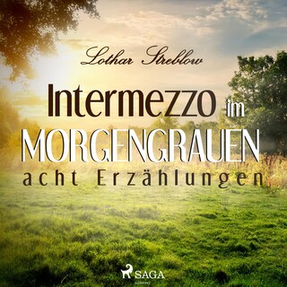 Intermezzo im Morgengrauen - Acht Erzählungen (Ungekürzt) bookCoverFor