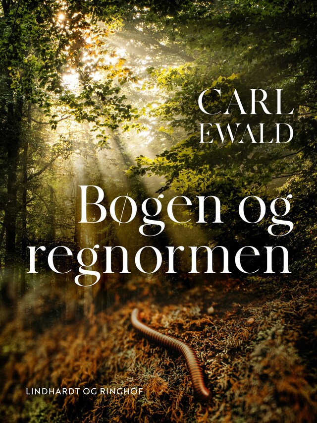 Bogomslag for Bøgen og regnormen