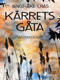 Kärrets gåta