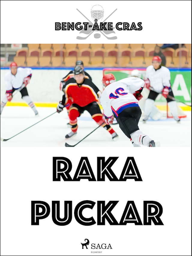 Book cover for Raka puckar