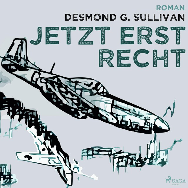 Book cover for Jetzt erst recht - Fliegergeschichten 8 (Ungekürzt)