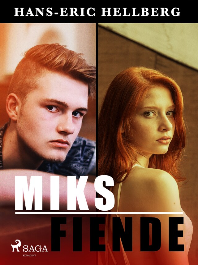 Book cover for Miks fiende