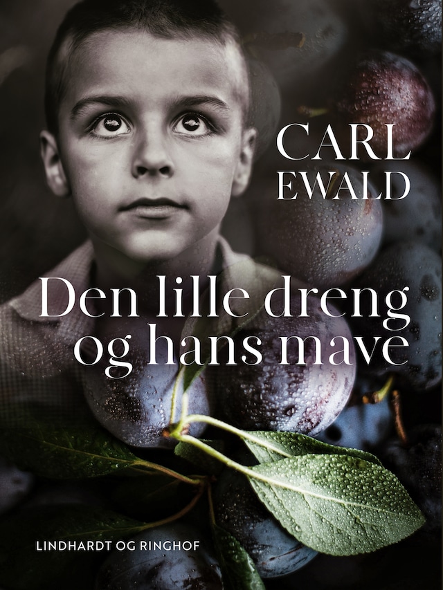 Bogomslag for Den lille dreng og hans mave