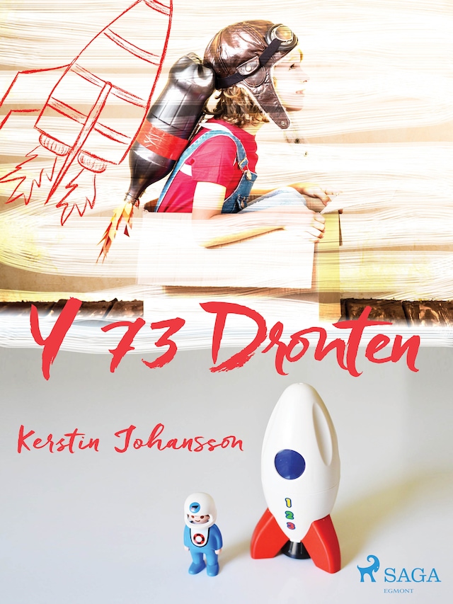 Book cover for Y 73 Dronten