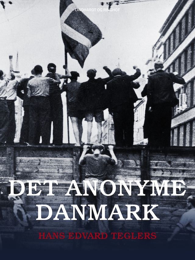 Bogomslag for Det anonyme Danmark