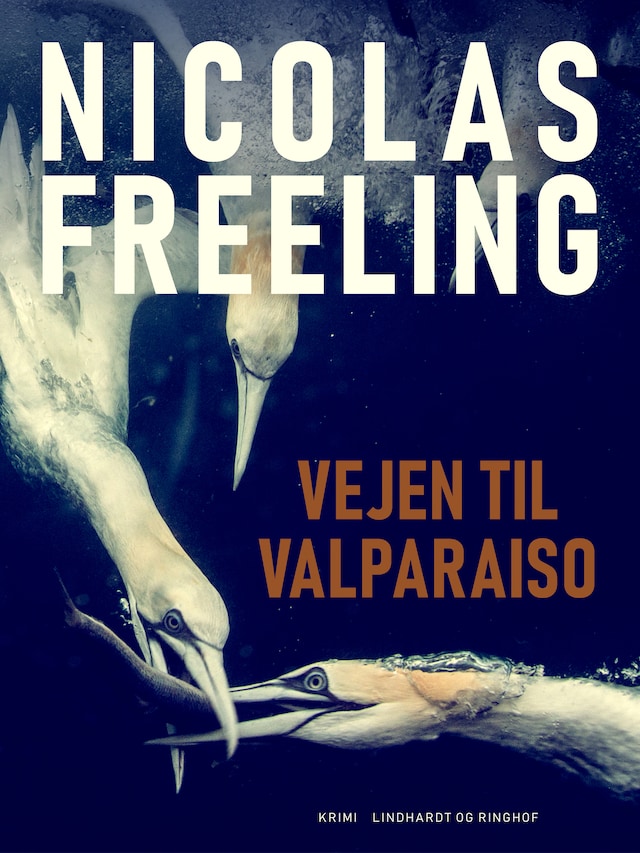 Book cover for Vejen til Valparaiso