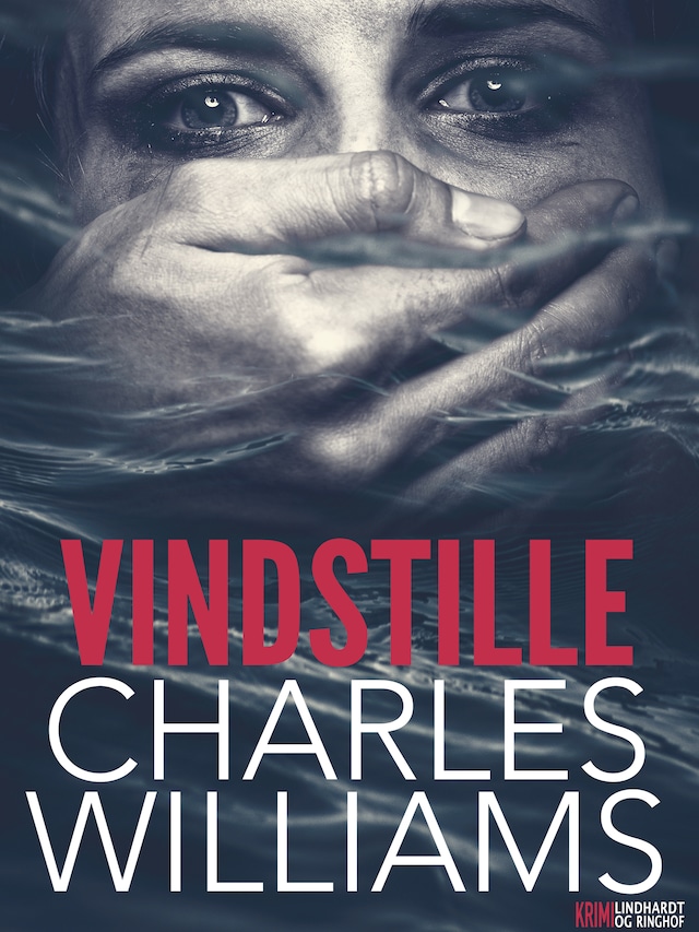 Book cover for Vindstille