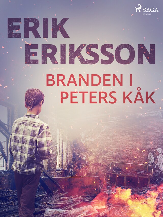 Book cover for Branden i Peters kåk