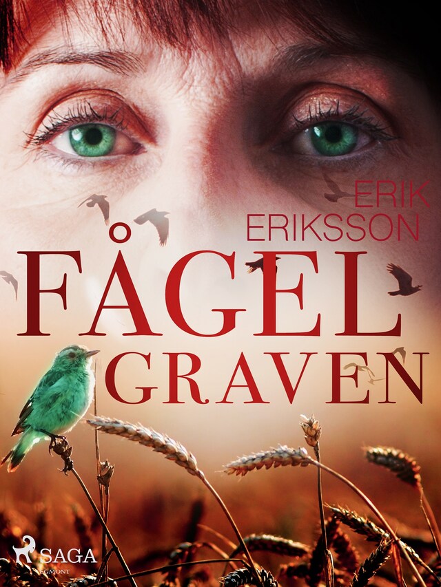 Couverture de livre pour Fågelgraven