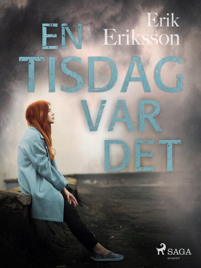 Book cover for En tisdag var det