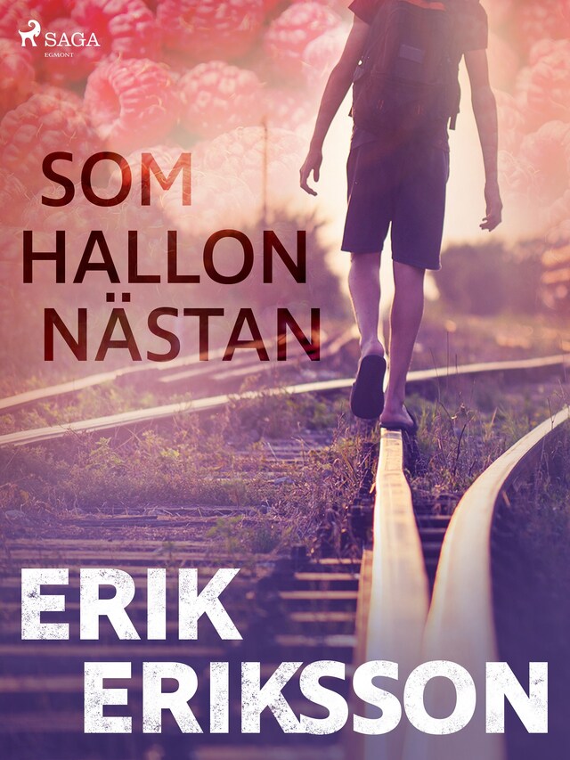 Buchcover für Som hallon nästan