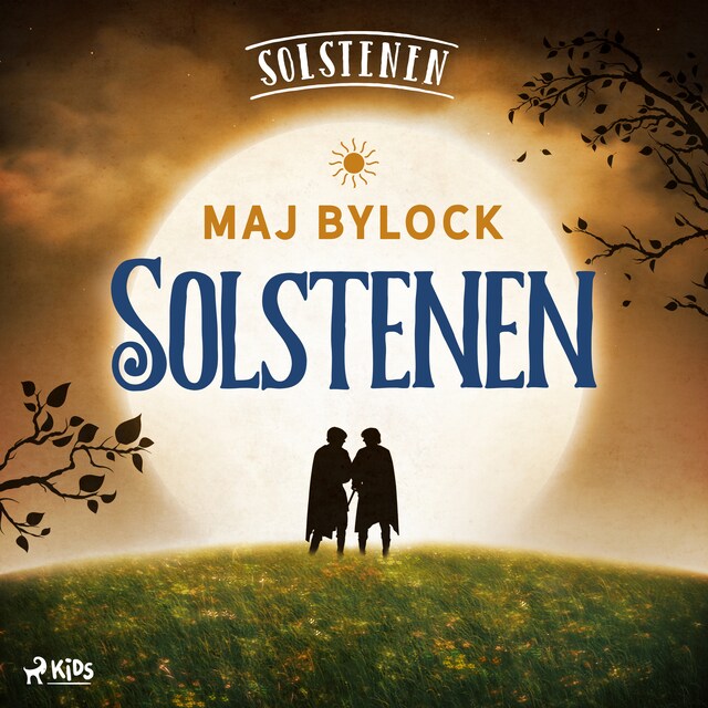 Book cover for Solstenen