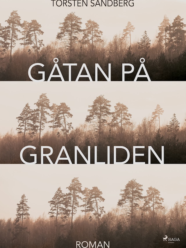 Book cover for Gåtan på Granliden