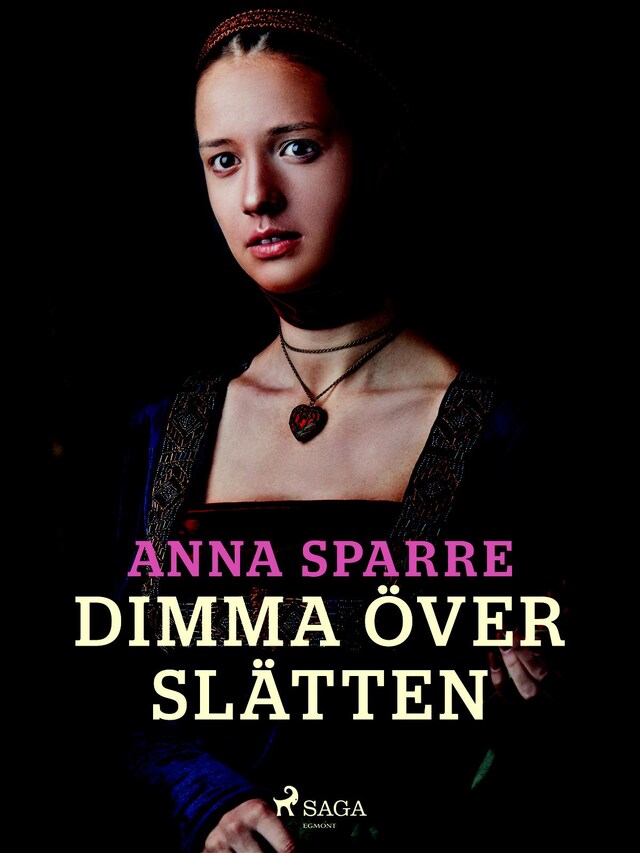 Book cover for Dimma över slätten