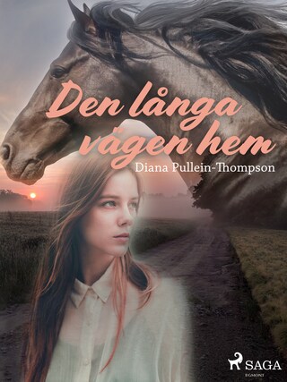 Den långa vägen hem bookCoverFor