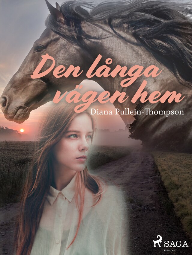 Buchcover für Den långa vägen hem