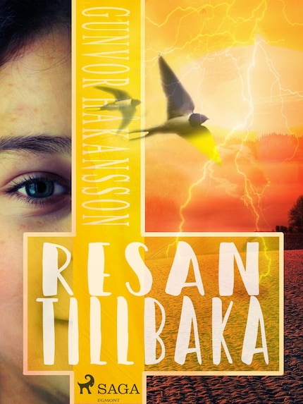 Resan tillbaka bookCoverFor