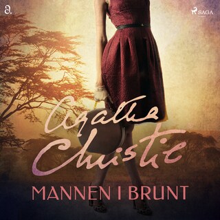 Mannen i brunt bookCoverFor