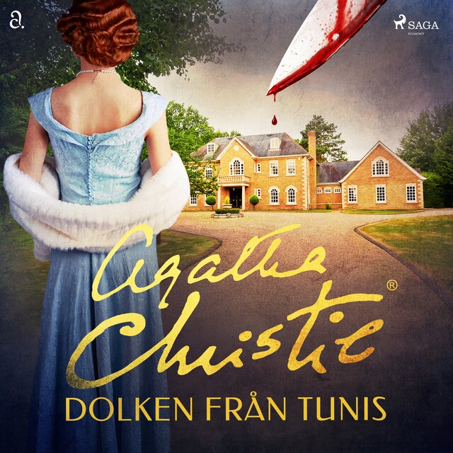 Book cover for Dolken från Tunis