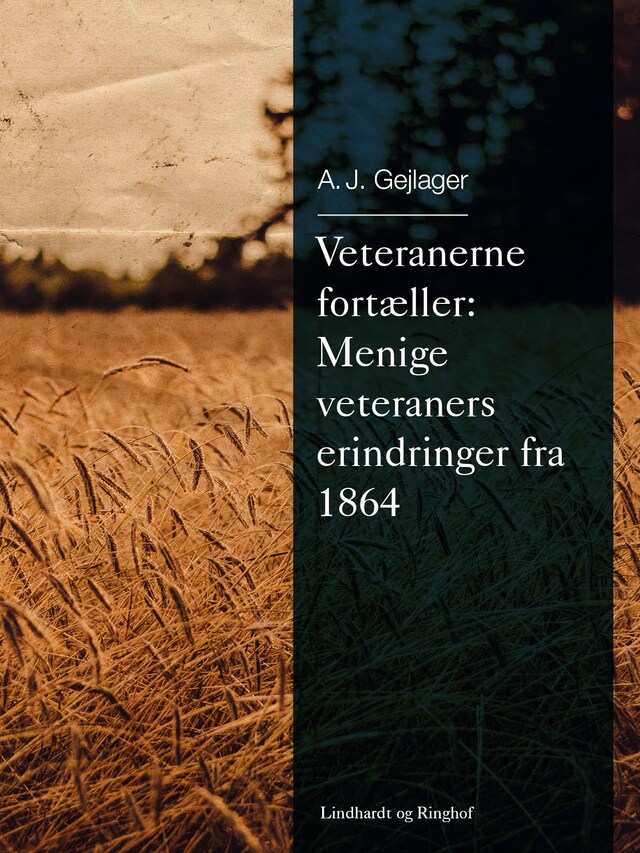 Bogomslag for Veteranerne fortæller: Menige veteraners erindringer fra 1864