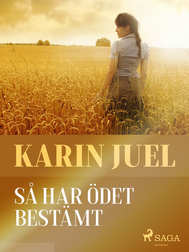 Couverture de livre pour Så har ödet bestämt