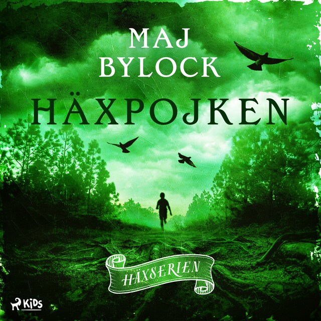 Couverture de livre pour Häxpojken