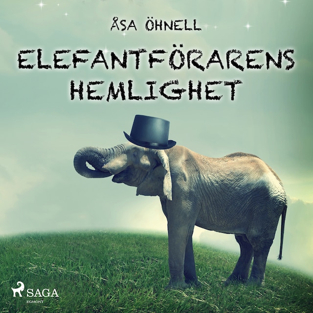 Book cover for Elefantförarens hemlighet