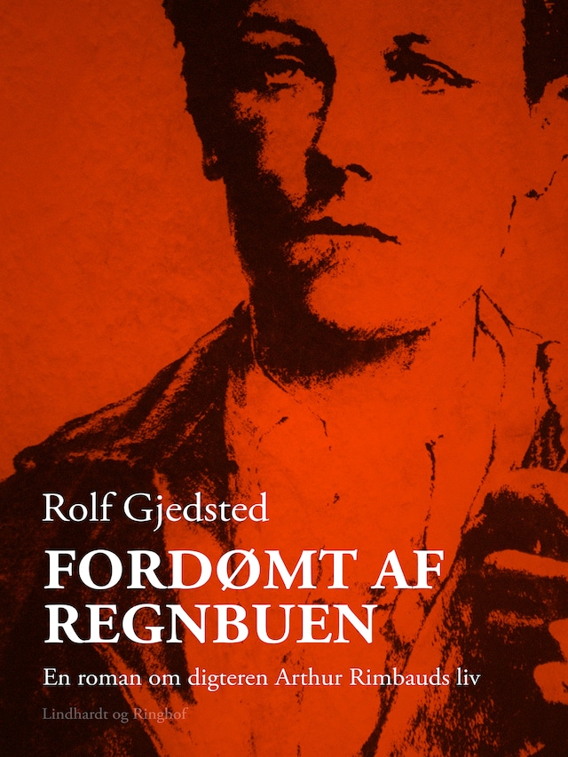 Book cover for Fordømt af regnbuen. En roman om digteren Arthur Rimbauds liv