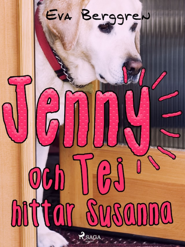 Bokomslag for Jenny och Tej hittar Susanna