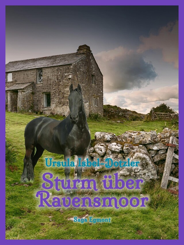 Couverture de livre pour Sturm über Ravensmoor