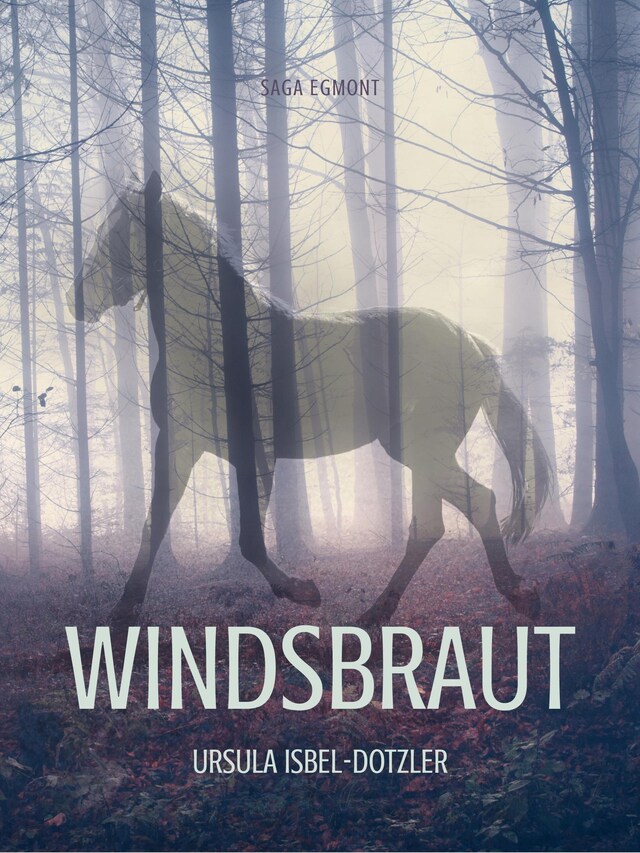 Book cover for Windsbraut