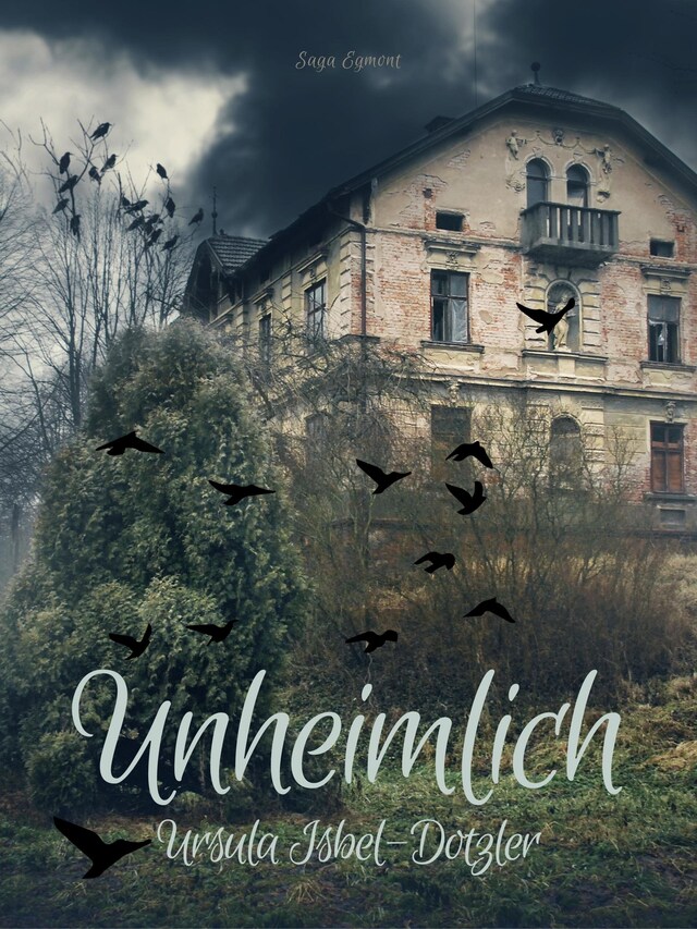 Couverture de livre pour Unheimlich