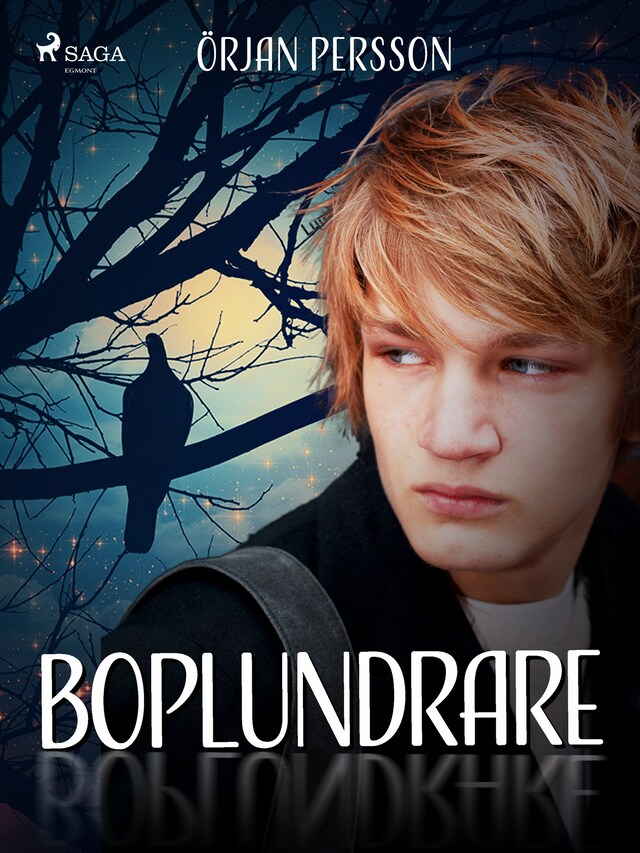 Book cover for Boplundrare