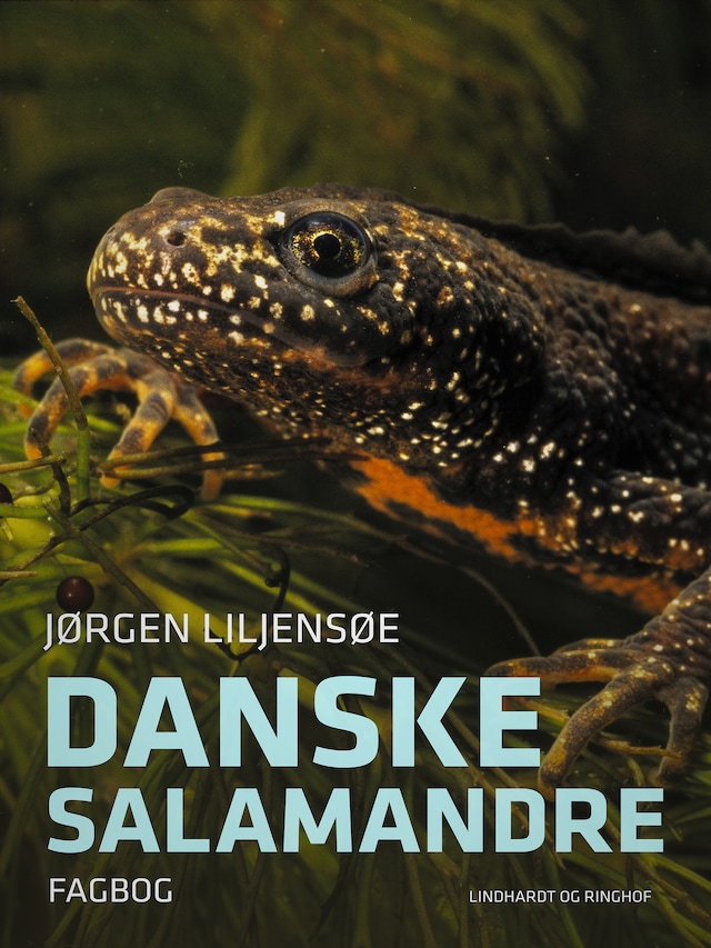 Bogomslag for Danske salamandre