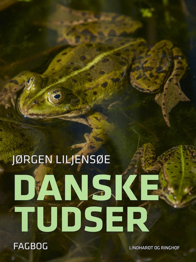 Bogomslag for Danske tudser