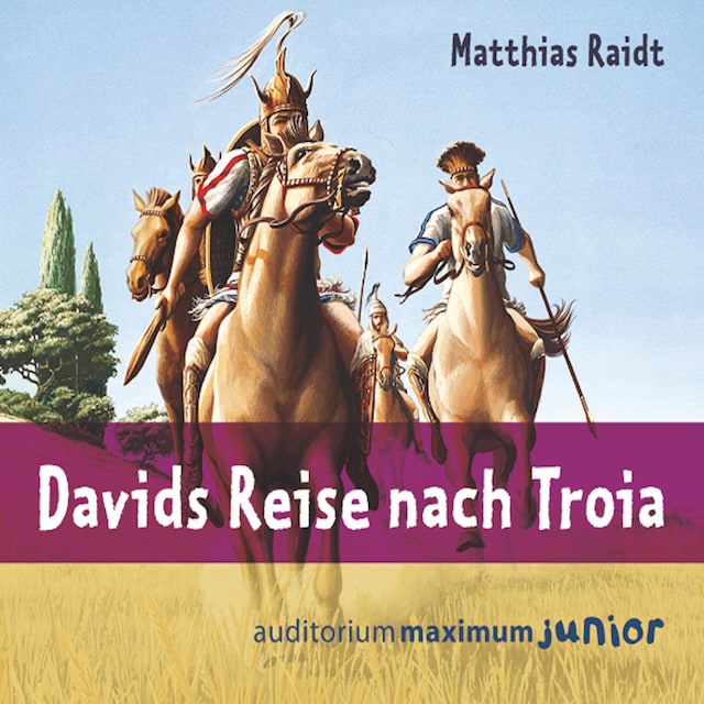 Couverture de livre pour Davids Reise nach Troia (Ungekürzt)