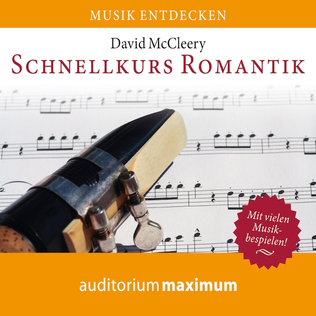 Book cover for Schnellkurs Romantik (Ungekürzt)